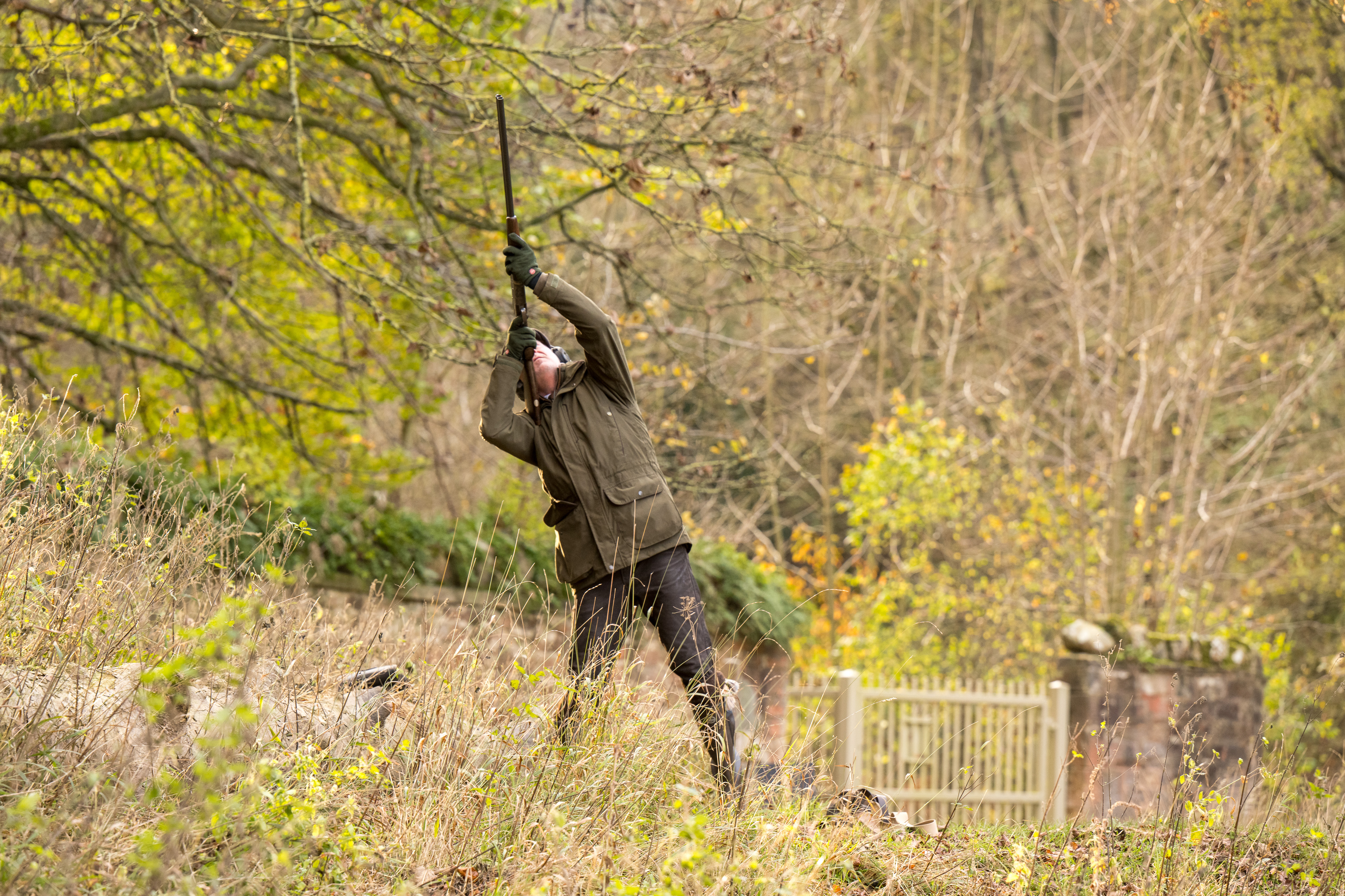 A gun taking a high bird at Studley Royal